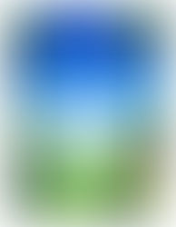 Canopy... The treetops are the limit!