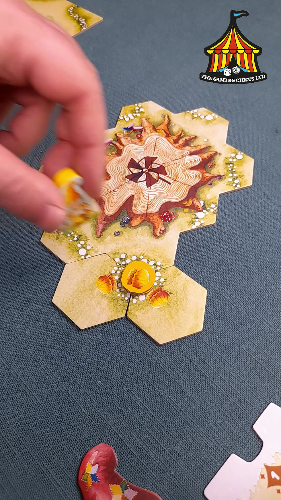 Thumbnail: Gnome Hollow Board Game How to Play Video