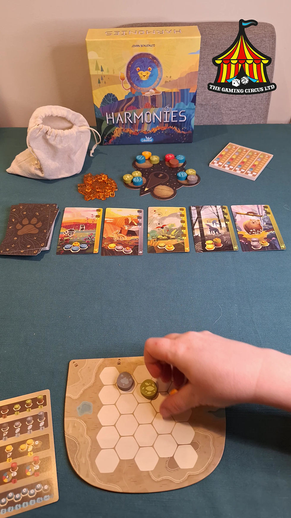 Thumbnail: Harmonies Board Game How to Play