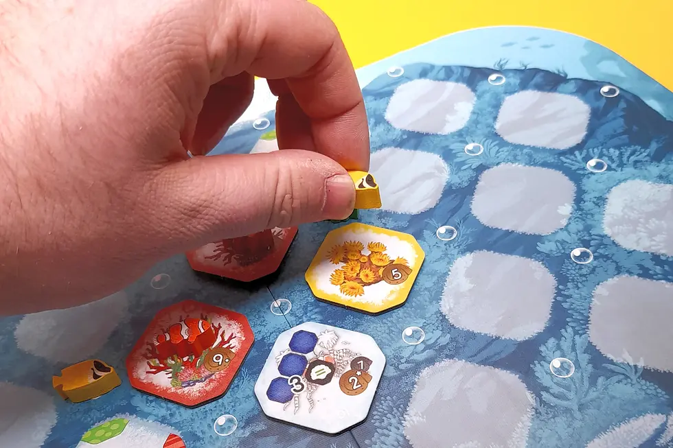 Hand placing a yellow fish piece on a blue ocean-themed board with hexagonal tiles depicting marine life and numbers. Bright and playful mood.
