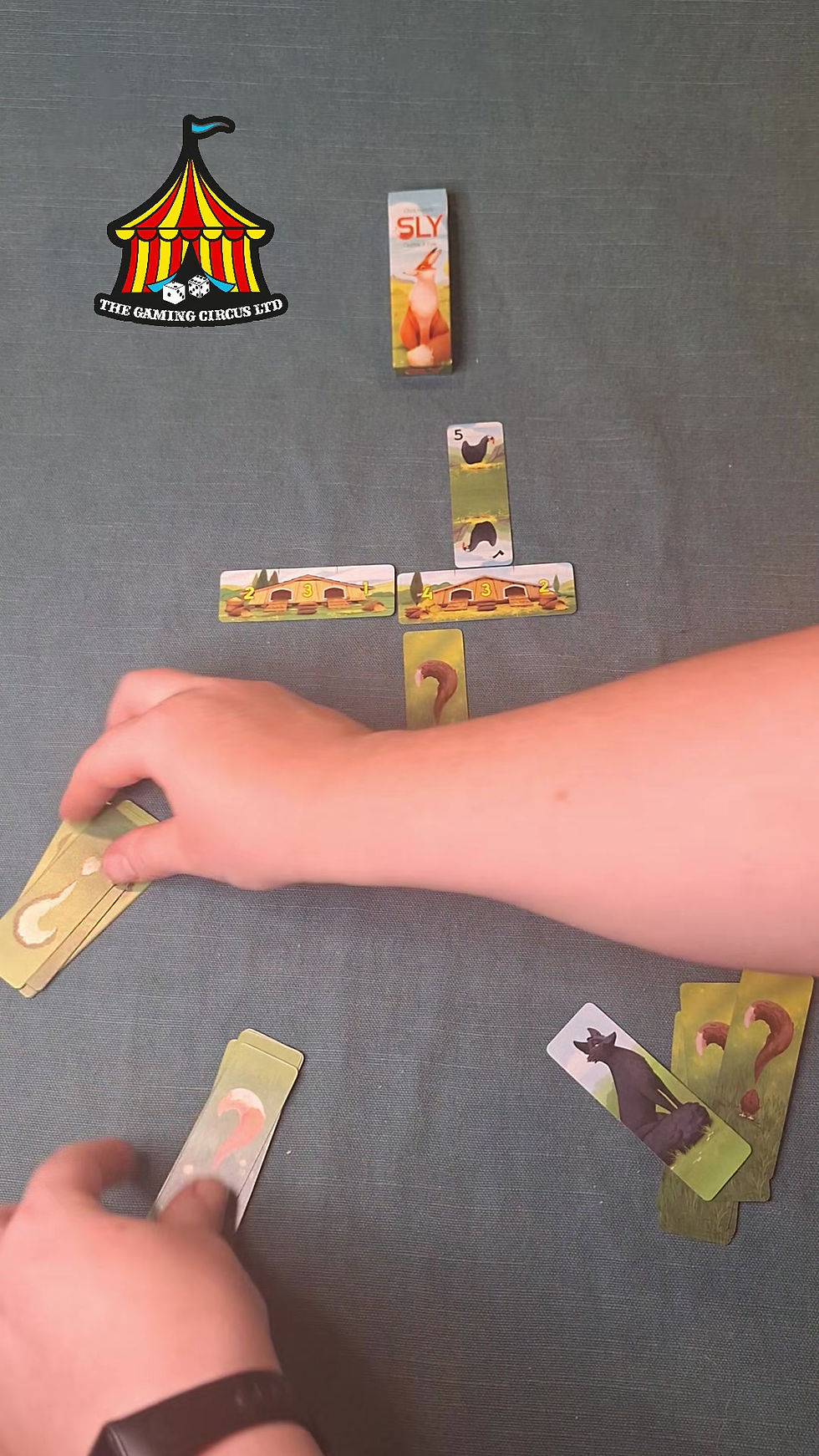 Thumbnail: Sly Card Game How to Play Video