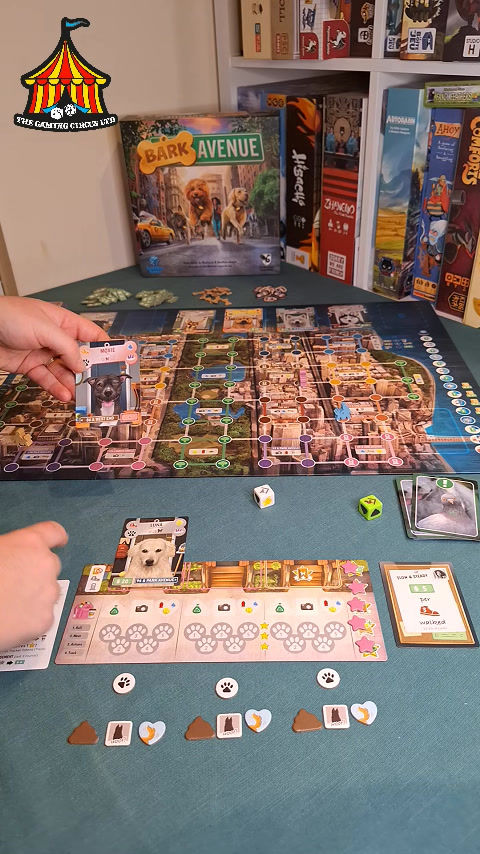 Thumbnail: Bark Avenue Board Game How to Play Video