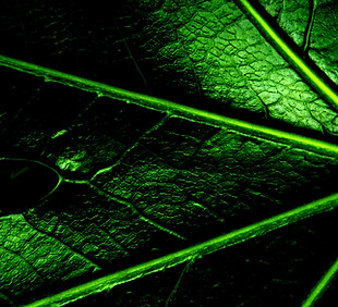 2010-01-01%2021.32_edited.jpg