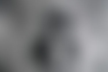 Соломія Крушельницька в опері Джакомо Мейєрбера «Гуґеноти»