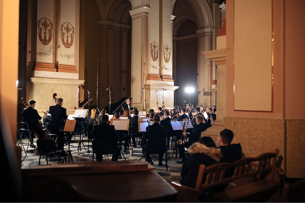 ukrayino-lytovskyy symfonichnyy vechir