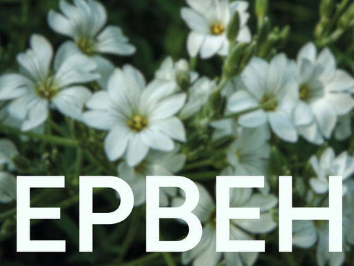 Музичне літо починається тут: червень в Органному залі