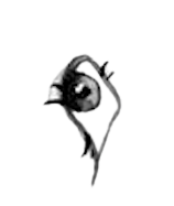 h.png