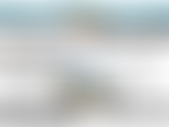 Cinq projets majeurs pour le changement - tract octobre 2025