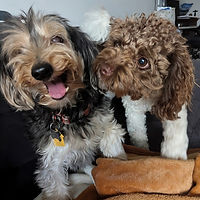 -3663078344620597998.jpg