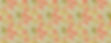 small birds and flowers pattern jasmine hnatkova.jpg
