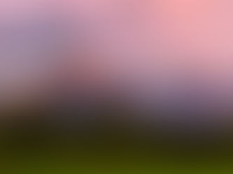 #14 Mit dem Tiger im Bett, im Berneroberland