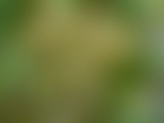 # 15 Appelez! Oder hatte ich einen Fensterplatz im Französisch?