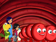 The red blood cells.jpg
