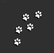 Capture d’écran 2026-04-13 à 14.46.37.png