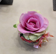 IMG_7080.jpg