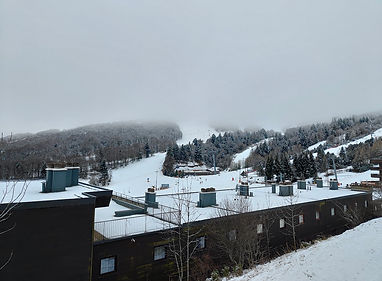 IMG20250121092006.jpg