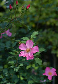 8宮118.jpg