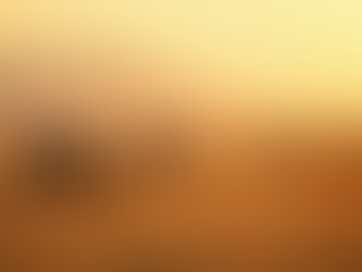 Explore the Wonders of Serengeti Safaris