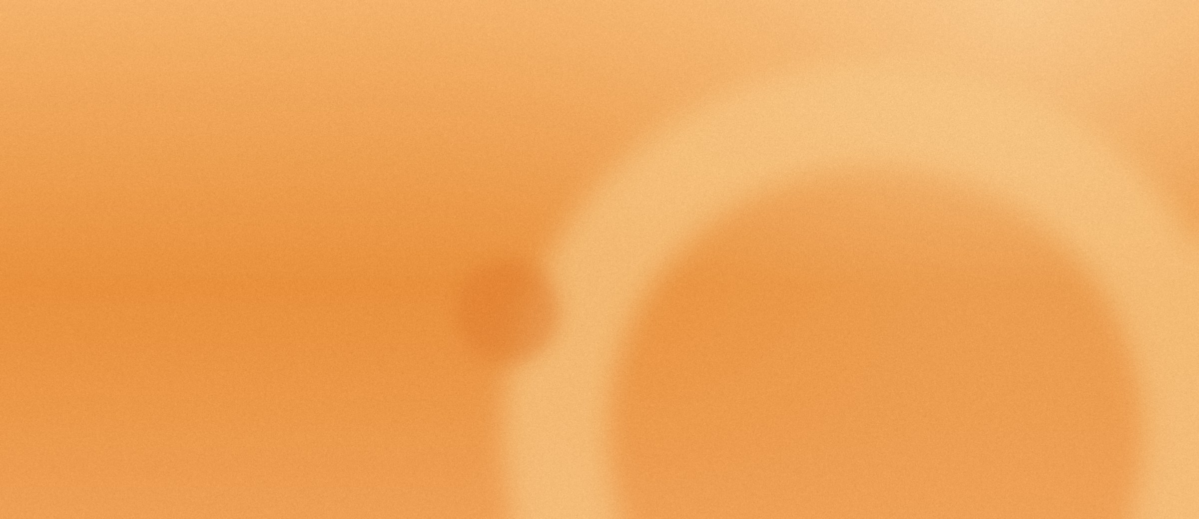 noe-bogen-orange-quer.jpg