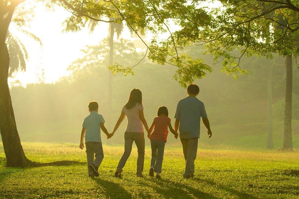 A family of four walks hand in hand in a sunlit park, surrounded by trees and grass, conveying a peaceful and harmonious mood.