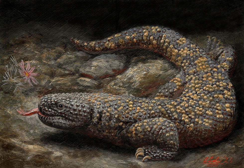 Mexican Beaded Lizard