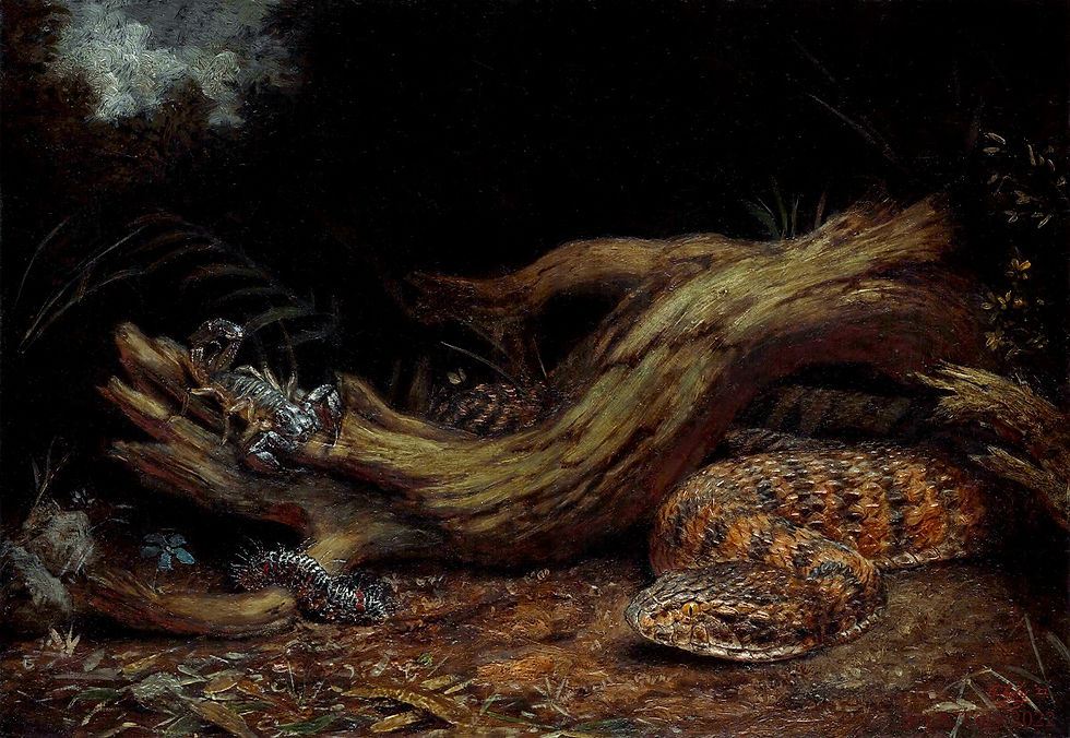 Branchscape VI - Pilbara Death Adder, Scorpion and Caterpillar