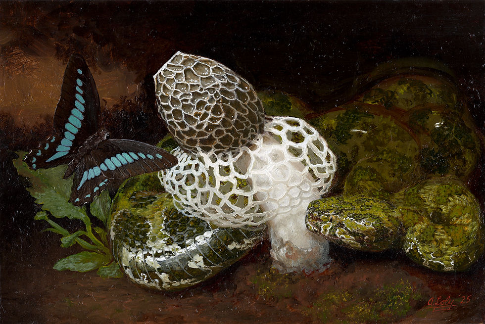 Veiled Lady, Pit Viper and Bluebottle