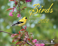final CAL Bitterroot Audubon 2022_Page_01.jpg