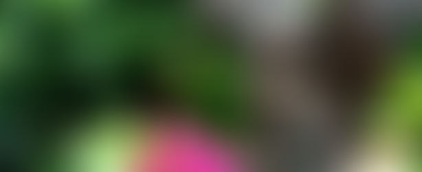 The Fool, Imagery, and Mythology