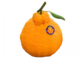 image.jpeg