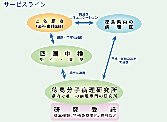 www tokushima byouri com
