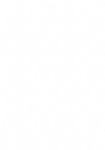 Texture (2).png