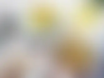 去濕清補防秋燥毛孩食療