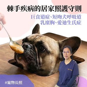 棘手疾病的居家照護守則