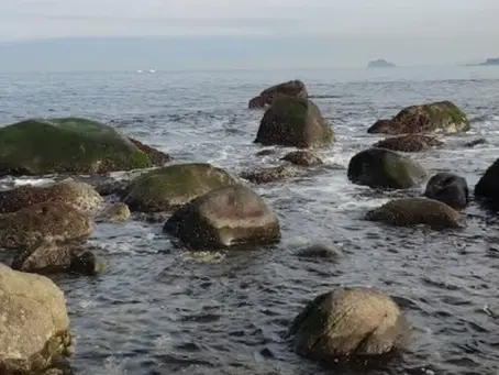 魚往生也可以辦告別式嗎?