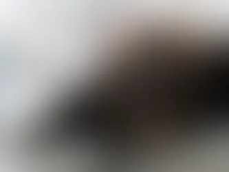 犬貓甲狀腺功能失調