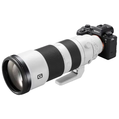 Sony A9 Mark II + 200-600 mm FE F/5.6-6.3 G OSS