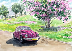 VW Beetle Pink