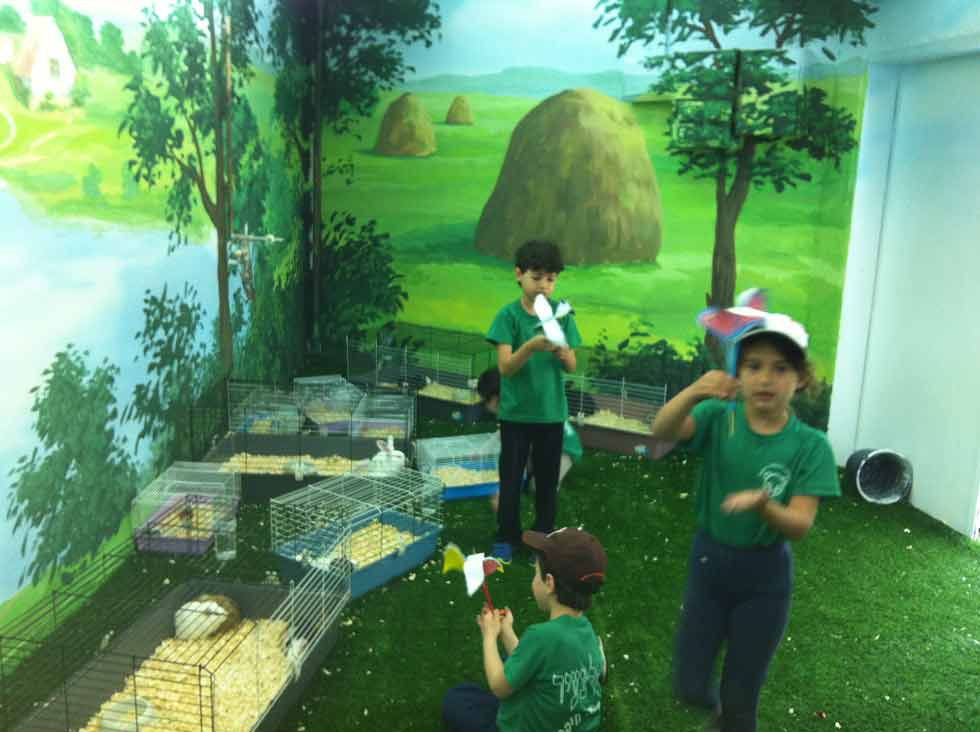 Petting zoo Haifa 8