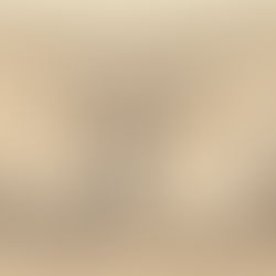 Photo Story Descriptors: pale, dusty, old, ruin, regal