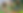 Storyteller Planet Story Bible 2026.png