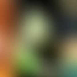 Wild Card: Ages 18-24, You're Screwed Unless...