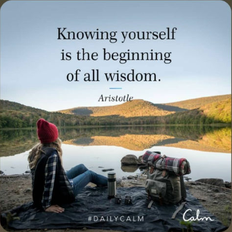 Wild Card: Meditation is Everything