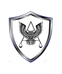 logo ciseg.png