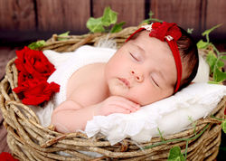IMG_3118 copy