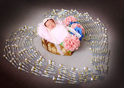 Newborn