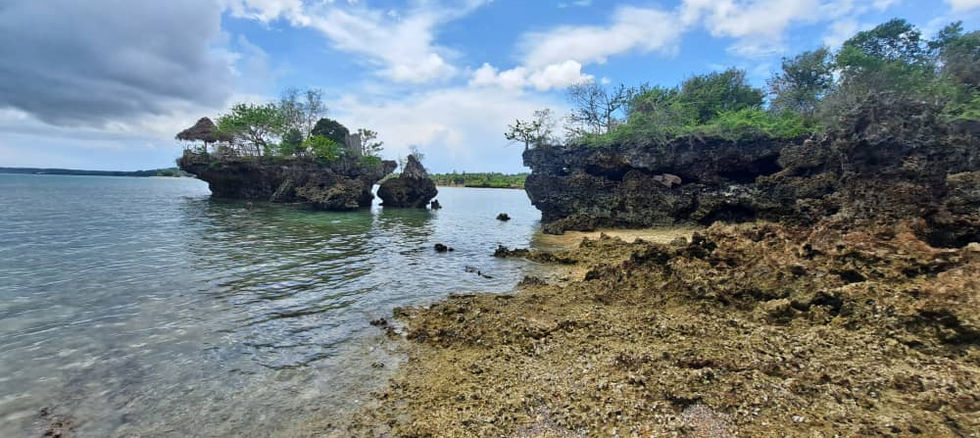 Land for Sale in Fukuchani 22,372 sqm- natural beauty