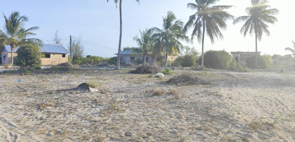 Land for Sale in Pongwe 1,650 sqm -Land in Pongwe