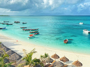 Zanzibar Tourism Insights: Unveiling the January 2023 Data