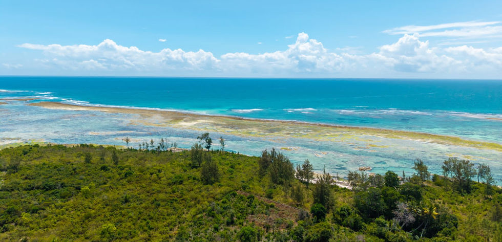 Land in Uroa for Sale_ turquoise water_Zanzibar Luxury Properties